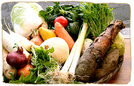 旬の野菜たっぷり