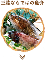 三陸ならではの魚貝