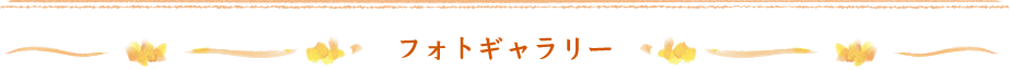 フォトギャラリー