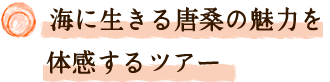 海に生きる唐桑の魅力を体感するツアー