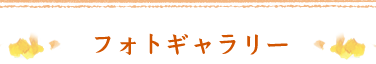フォトギャラリー