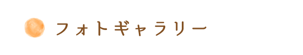 フォトギャラリー